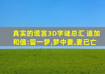 真实的谎言3D字谜总汇 追加和值:留一梦,梦中妻,妻已亡